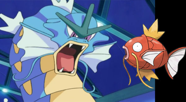 evolucion-de-magikarp-batalla